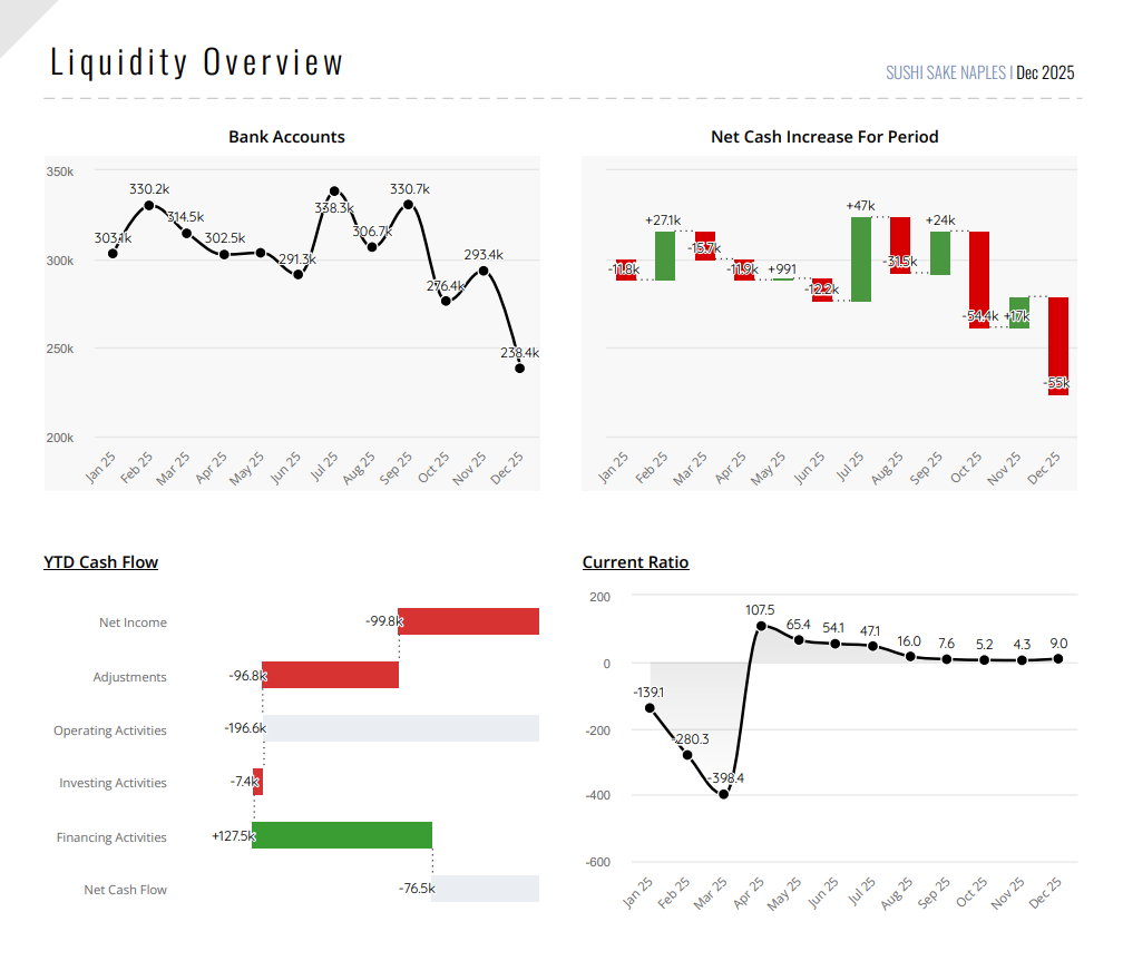 Cash Flow Dashboard - YCM Capital